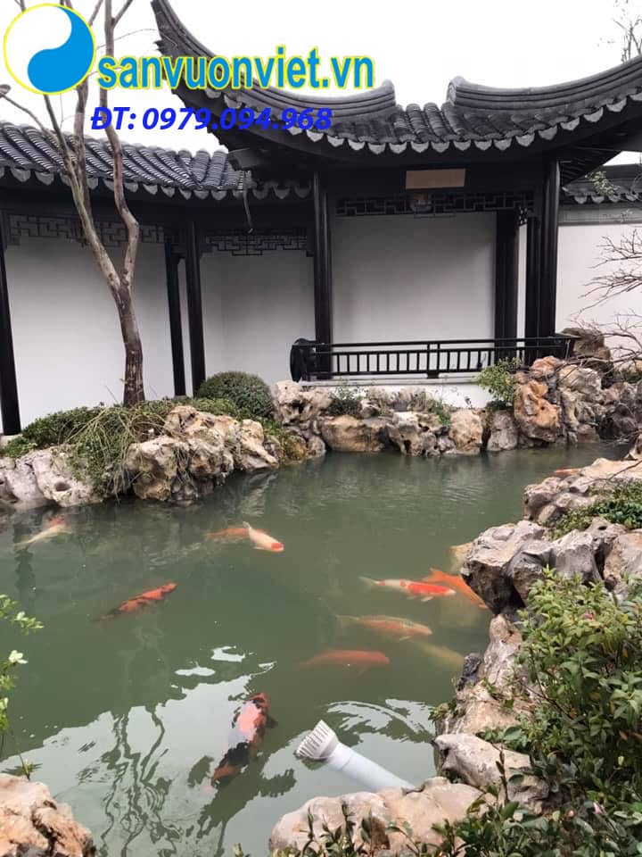 thi-cong-ho-ca-koi