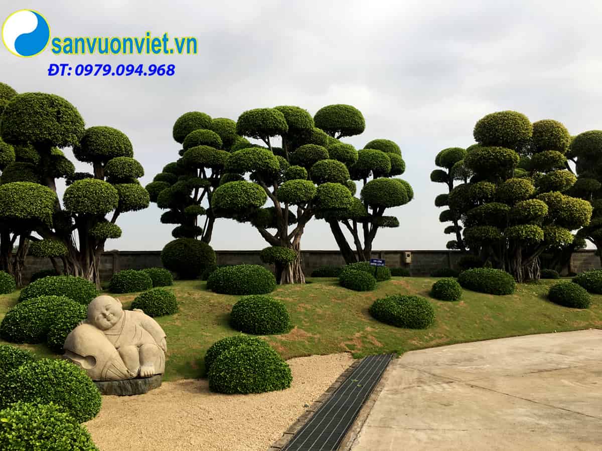 thiet-ke-thi-cong-san-vuon-nhat