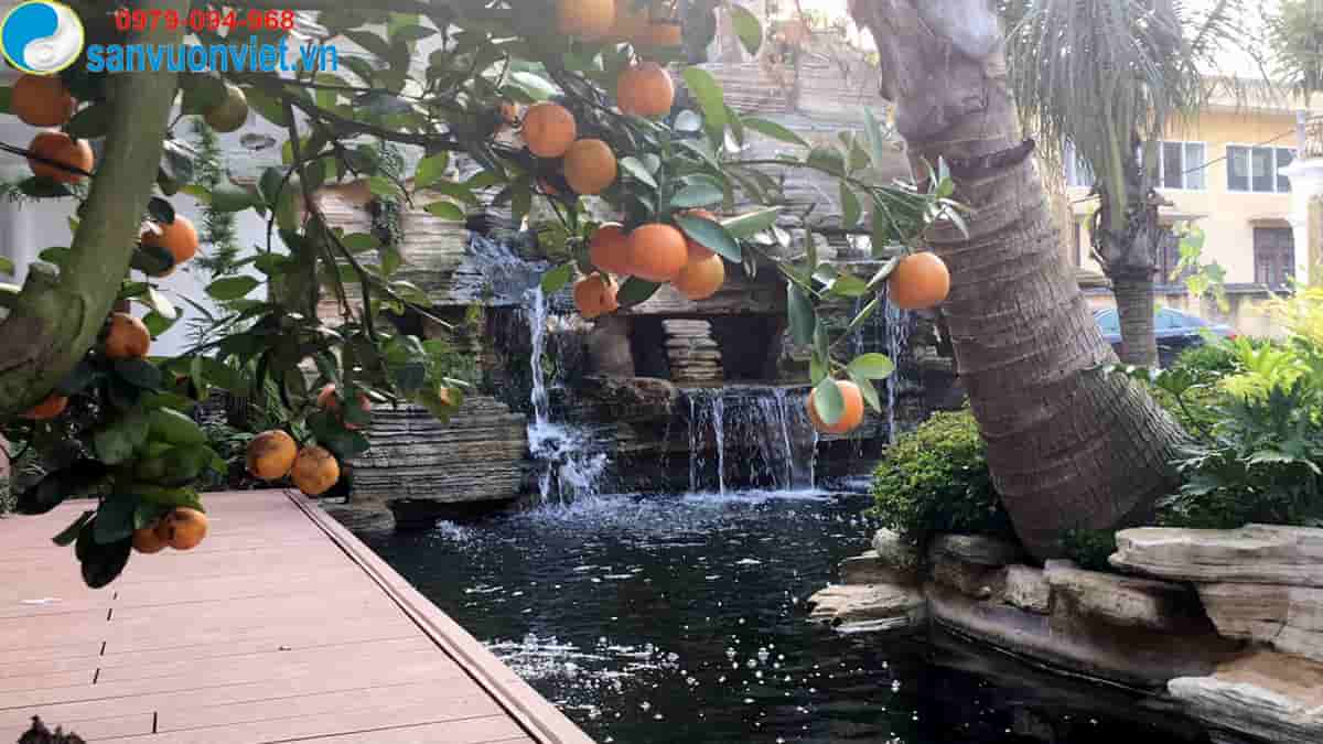 thi-cong-ho-ca-koi